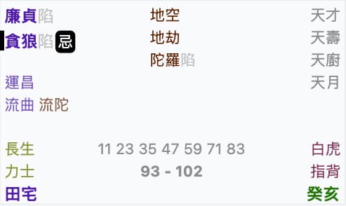 紫微斗數命盤